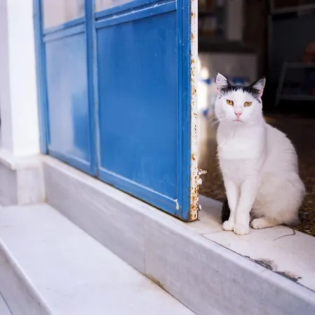 Luxury Naxos Superior With Balcony Steps Away From アパート *