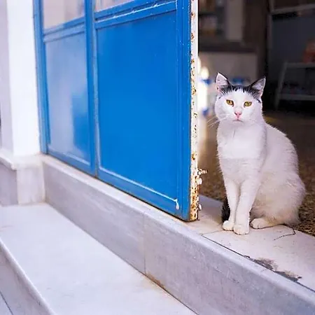 Luxury Naxos Superior With Balcony Steps Away From Apartment
